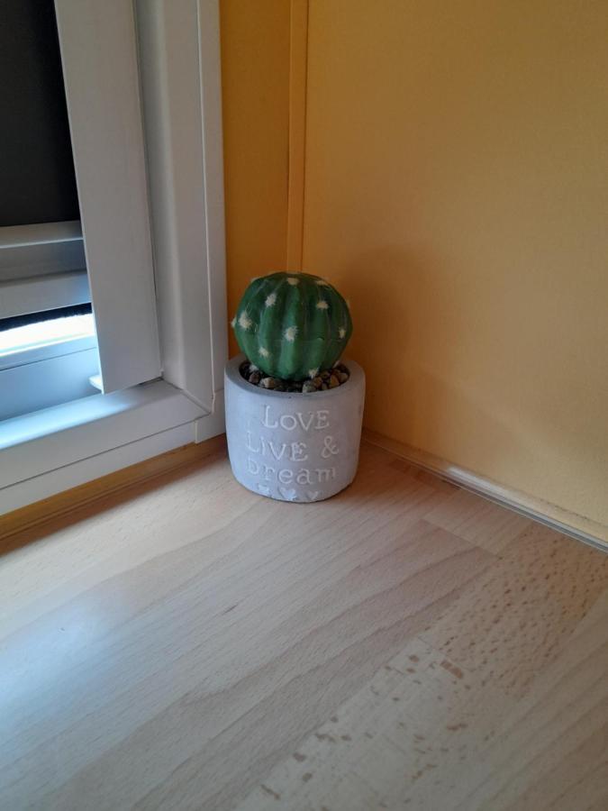 Apartament A Casinha Da Aguieira Na Lands Hause L6 Burinhosa Zewnętrze zdjęcie